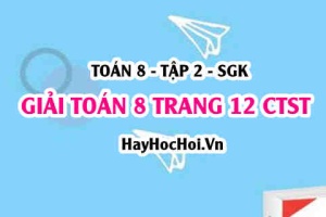 Giải Toán 8 trang 12 tập 2 Chân trời sáng tạo SGK